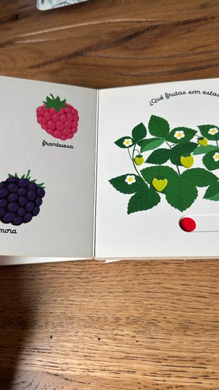 Lote libros timunmas