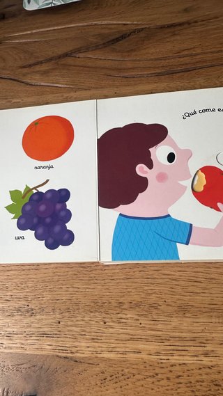 Lote libros timunmas