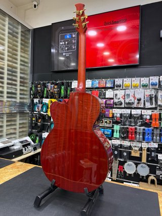 Chitarra Acustica Elettrificata Applause