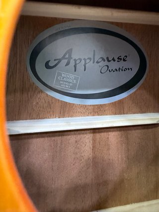 Chitarra Acustica Elettrificata Applause