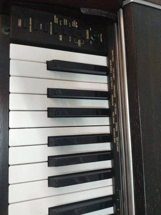 Piano Digital Casio PX-700