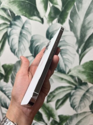 iPhone 13 Pro Max 512GB / SEMINUEVO