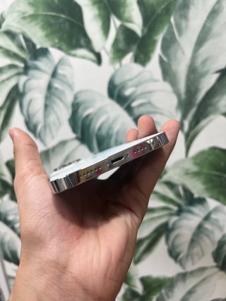 iPhone 13 Pro Max 512GB / SEMINUEVO