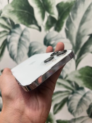 iPhone 13 Pro Max 512GB / SEMINUEVO