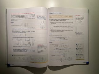 MS 2, Matemàtiques aplicades a les ciències soc...