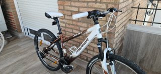 Bicicleta Merida Juliet 40 Infantil
