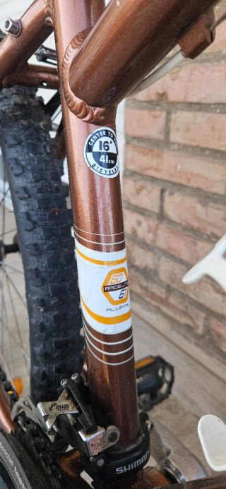 Bicicleta Merida Juliet 40 Infantil