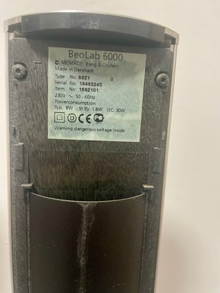 Bang & Olufsen Beolab 6000 Pareja Altavoces