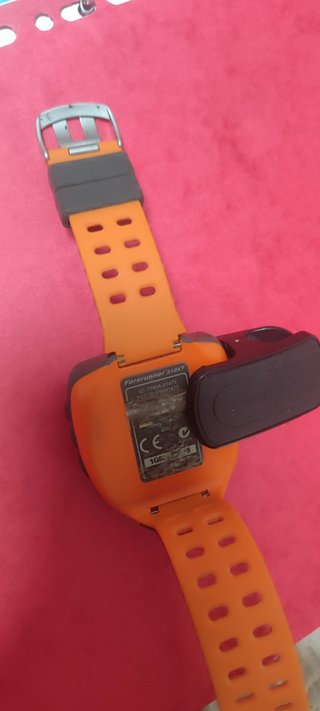Reloj GPS Garmin Forerunner 310XT