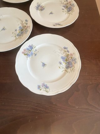 6 Piatti Richard Ginori Antichi Floreali