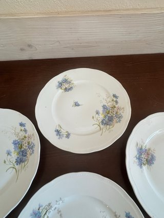 6 Piatti Richard Ginori Antichi Floreali