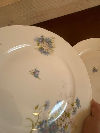 6 Piatti Richard Ginori Antichi Floreali
