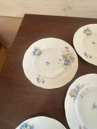 6 Piatti Richard Ginori Antichi Floreali