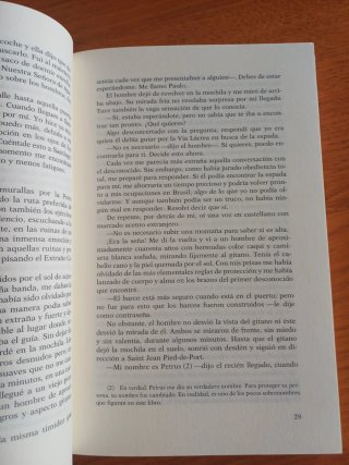 El peregrino de Compostela (Diario de un mago)