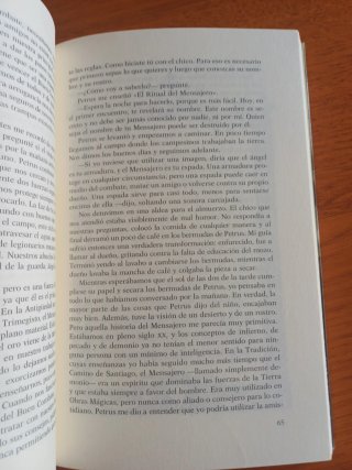 El peregrino de Compostela (Diario de un mago)