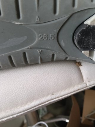Botas de esquí Lange 100