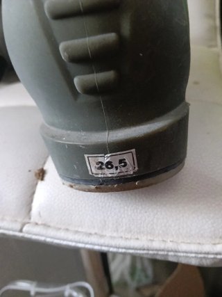 Botas de esquí Lange 100