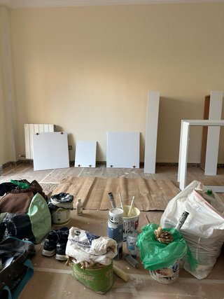 Pintor profesional obras y viviendas