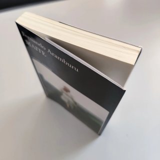 Libro Maite - Fernando Aramburu