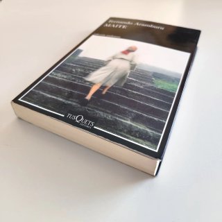 Libro Maite - Fernando Aramburu