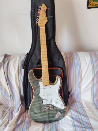 Guitarra Eléctrica Stratocaster Media alta gama