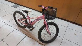 Bicicleta Infantil 20 BH Rosa con Cesta
