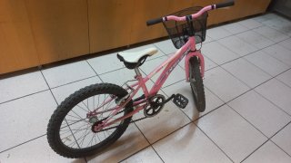 Bicicleta Infantil 20 BH Rosa con Cesta