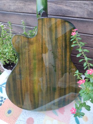 Guitarra Electroacústica Dayr Mini Jumbo Verde