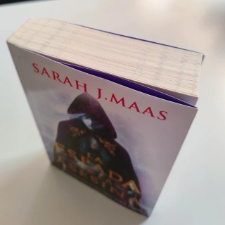 Libro - La espada de la asesina - Sarah J. Maas