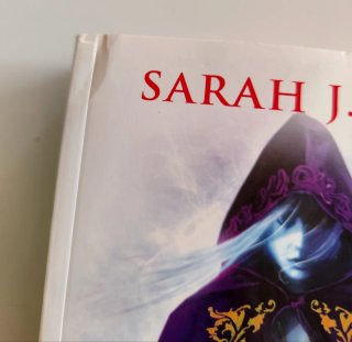 Libro - La espada de la asesina - Sarah J. Maas