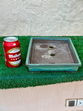 Cambio por otro tamaño macetas bonsai