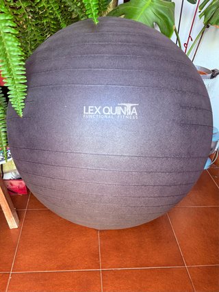 Pelota Yoga Lex Quinta Fitness
