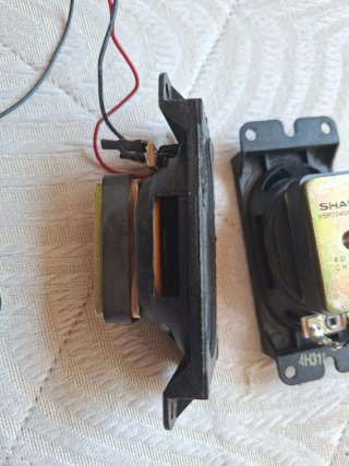Coppia Casse Altoparlanti Sharp