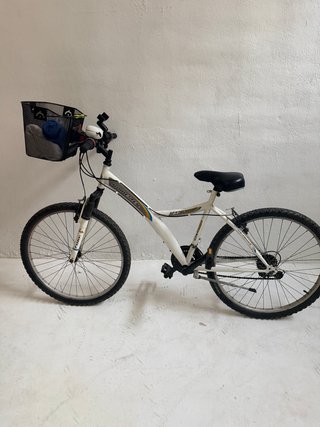 Bicicleta Montaña Blanca con Cesta