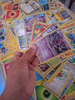 Lote 850 Cartas Pokémon + 65 Holo
