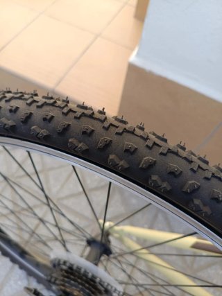 Bicicleta polivalente