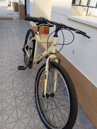 Bicicleta polivalente