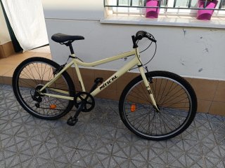 Bicicleta polivalente