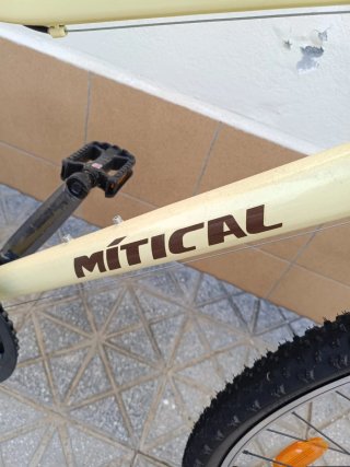 Bicicleta polivalente