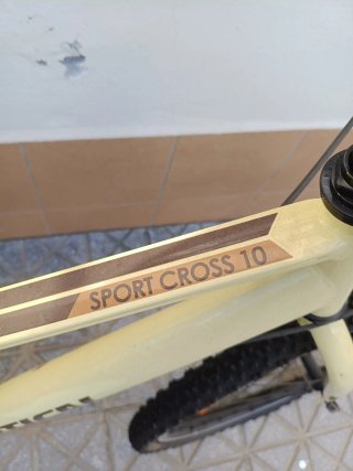 Bicicleta polivalente