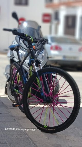 Bici de Montaña
