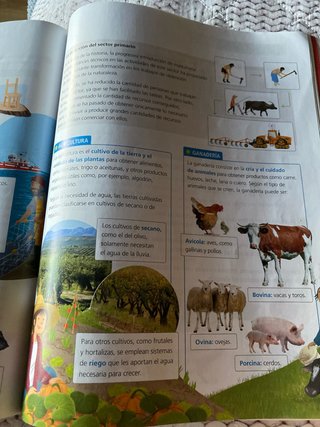 Ciencias Sociales 4, Segundo Ciclo Primaria, Ca...