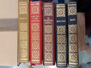 Lote de clásicos vintage de la Literatura