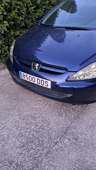 Peugeot 307-