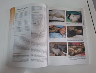 Diagnosi e terapia delle malattie degli animali...