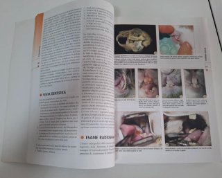 Diagnosi e terapia delle malattie degli animali...