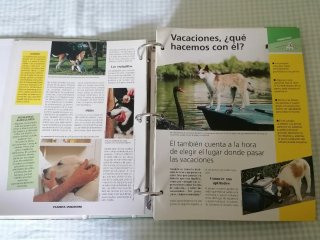 Colección 800 Fichas PERROS