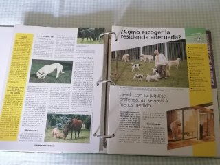 Colección 800 Fichas PERROS