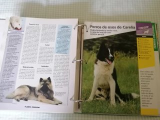 Colección 800 Fichas PERROS