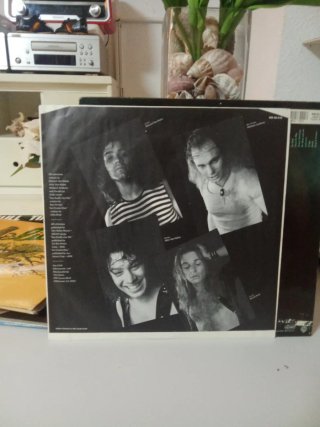 Van Halen LP Vinile Hard Rock
